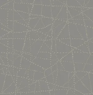 Alcott Charcoal Dotted Wallpaper